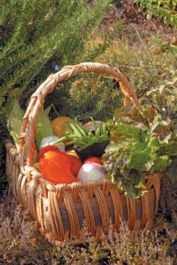 Grow flowers and herbs among your vegetables, and tuck a variety of vegetables into your flower bed. The end result is sure to be a more beautiful, sustainable and bountiful garden.