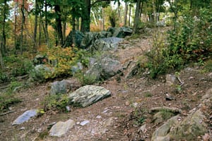 Advancing Overmountain Men utilized rocks and trees for cover as they assaulted the British at the Battle of Kings Mountain.