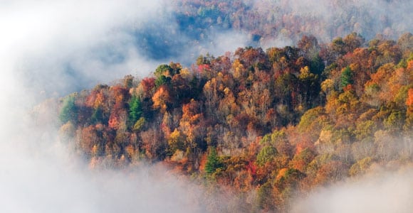 Sometimes an overlook like East Rim in the Big South Fork National River and Recreation Area that is just a few feet from the parking lot can provide beautiful panoramics. Make your image stand out by planning to be there when the combination of weather conditions and time of day place the scene in the best light.