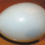 egg-002