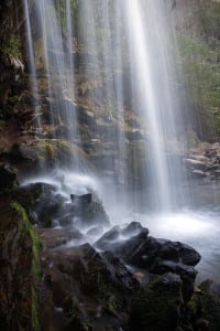 Grotto Falls in the Great Smoky Mountains is always a great place to find photographic opportunities. Shooting your subject from different angles can add an uncommon and interesting perspective.