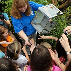 Children flock to see butterflies up close with Tennessee Aquarium entomologist Jennifer Taylor. Source: Tennessee Aquarium, Chattanooga