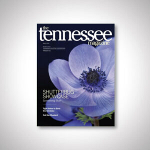 The Tennessee Magazine (12 month)