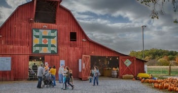 The Fun is Growing Down on the Farm