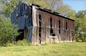 A barn near Knoxville awaits removal by Eagle Reclaimed Lumber.