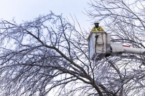 A lineman for Duck River Electric Membership Corporation removes debris and fallen trees near Lawrenceburg.