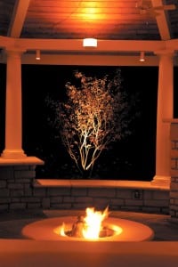 Remember to light your home’s architecture, above, as well as the landscaping, below. Photographs courtesy of Peabody Landscape Group