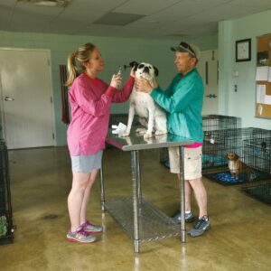 Tim Stanfill and Kim Austin examine Kia for ear mites.