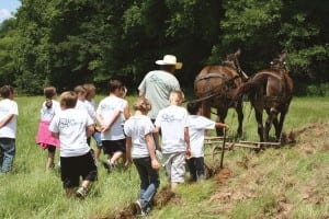 Terry Neill teaches Hardin County fourth-graders to plow with mules during the sanctuary’s annual Nature Days.