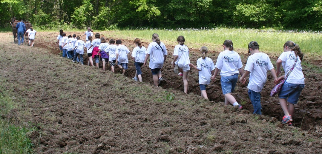 Nature-Days---kids-plowing-with-mules