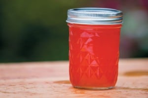 watermelon-jelly