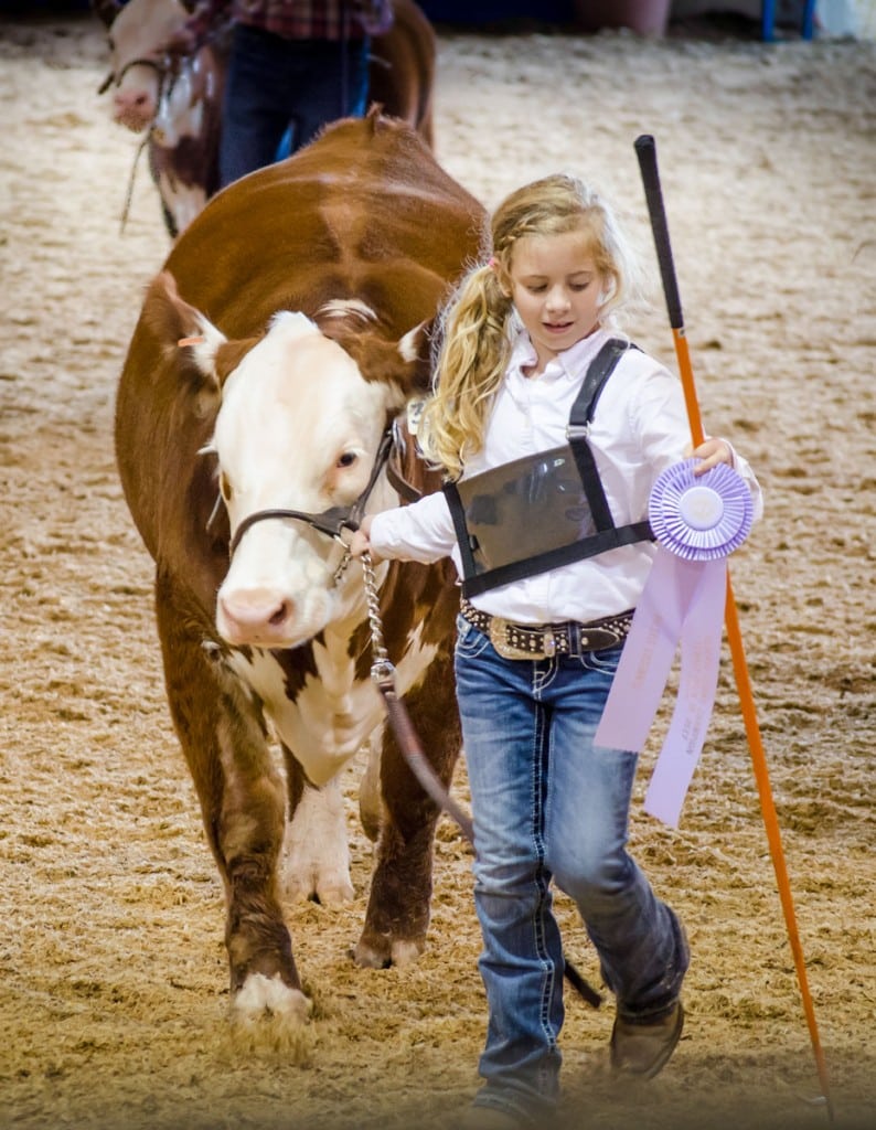 Photo courtesy of Tennessee State Fair