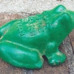 Cast iron frog