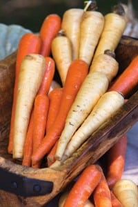 Cool-weather vegetables include carrots, parsnips, asparagus, Brussels sprouts, broccoli, cabbages, kales and lettuces.