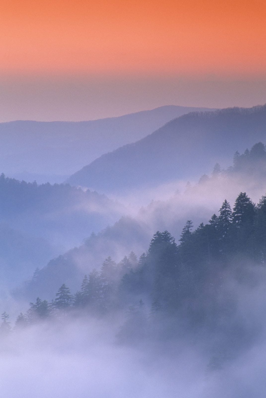 Mist swirls amongst the ridges and valleys of the Great Smoky Mountains as viewed from Morton Overlook.