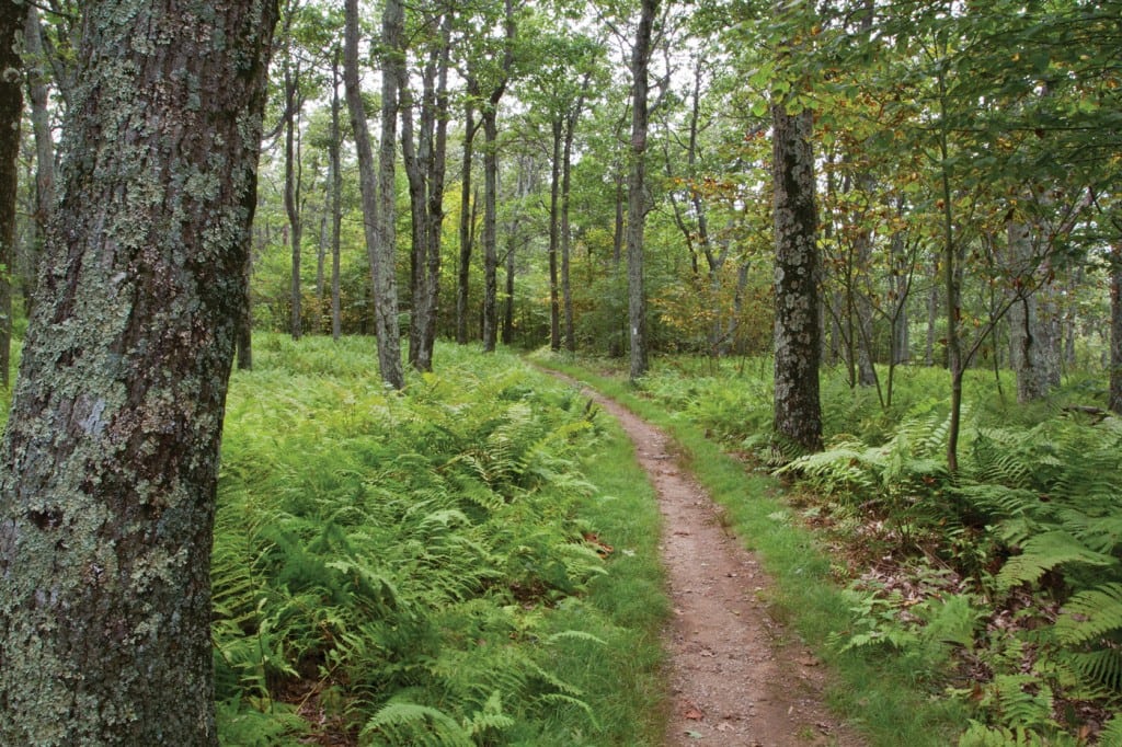 Appalachian Trail