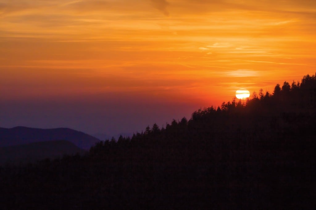 Great Smoky Mountains National Park (photograph by Robin Conover)