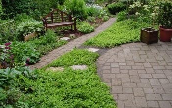 Experts offer garden design ideas