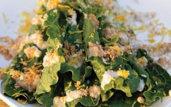 Unique Spring Greens
