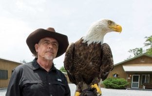 Eagle Eyes