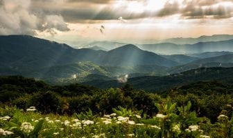 Shutterbug Showcase: “Get Unplugged” Professional Finalists