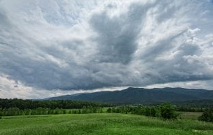 Poet’s Playground – June winners