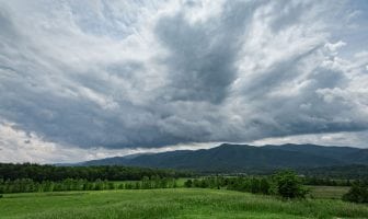 Poet’s Playground – June winners