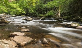 Poet’s Playground – August Winners