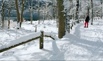 Poet’s Playground – Winners for November
