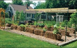 Solve Your Soil Issues with Straw-Bale Gardening