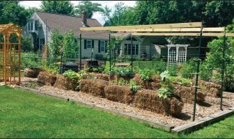 Solve Your Soil Issues with Straw-Bale Gardening