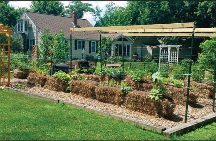 Straw bales an intriguing option for Kansas home gardeners