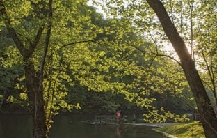 Poet’s Playground – July winners