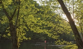 Poet’s Playground – July winners