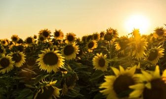Poet’s Playground – April winners