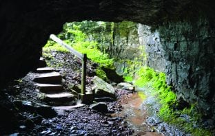 Tennessee’s Caves Have a History All Their Own
