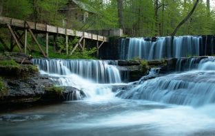 Shutterbug Showcase “Tennessee Summer” finalists