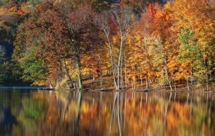 Poet’s Playground – September Winners