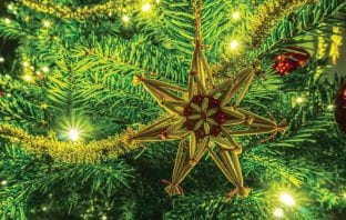 Efficient Holiday Lighting Options