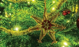Efficient Holiday Lighting Options