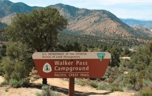 Native Tennessean Led Epic Journey Through the West