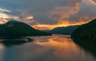 Poet’s Playground – Entry Form