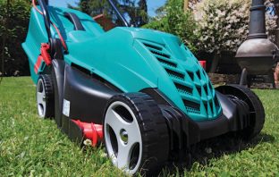 Weighing Your Lawncare Options