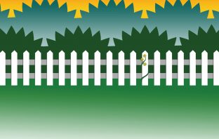 2019 Gardening Guide