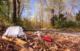 Don’t Trash Tennessee