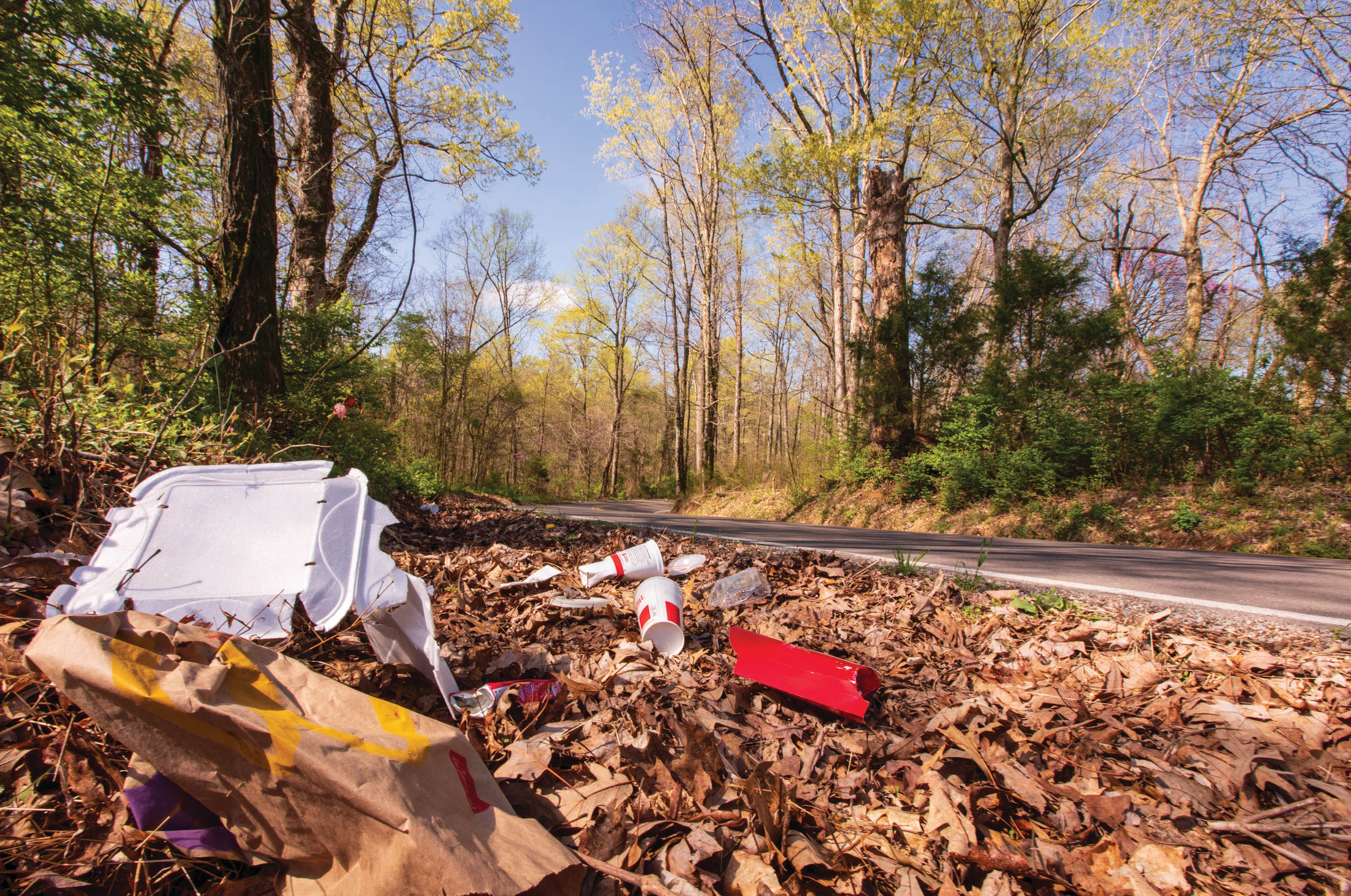 Adopt-A-Highway - Nobody Trashes Tennessee