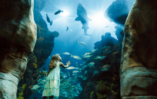 Education Observation Conservation
