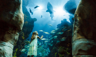 Education Observation Conservation