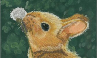 Artist’s Palette – April Winners