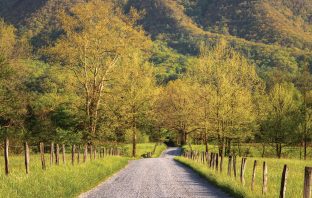Poet’s Playground – June winners